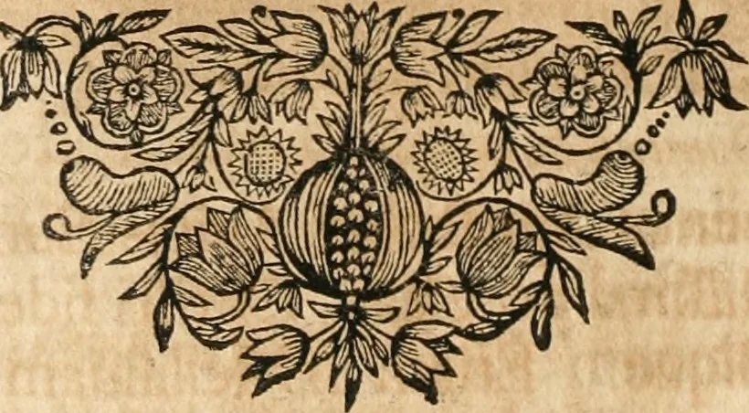 An illustration from Cistercium bis-tertium seu Historia elogialis, in qua sacerrimi ordinis cisterciensis anno Domini 1698 à sui origine sexies, seu bis-ter saecularis primordia, incrementa, praeclara gesta ... connexiones cum religiosis ordinibus, coenobiorum series per terras austriacas ., 1700, leaf 635