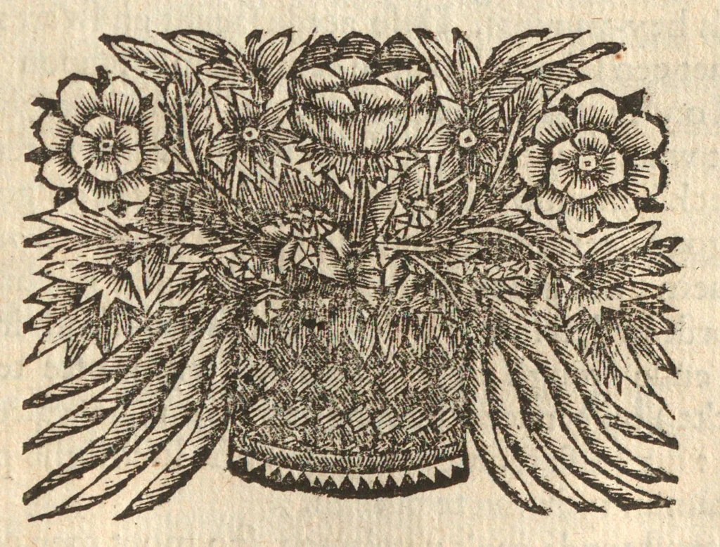 An illustration from Citricultura, oft, Regeringhe der uythemsche boomen te weten oranien, citroenen, limoenen, granaten, laurieren en andere : waer in beschreven is de gedaente ende kennisse der boomen, met hunne bloemen, bladeren en vruchten : van ieder geslacht in het besonder : als oock van den ranck-appel, oprechten laurier van America, den caneel-boom : ende besonderlijck van den verboden Adams oft paradys-appel : daer beneffens de natuere, kracht, en ghebruyck, haer deught en ondeught van ieder vrucht en plant : waer by oock grondigh gheleert wordt het zaeyen, mesten, planten, oculeren, inten, afsuyghen, inlegghen, besnoeyen, en begieten : oock de kennisse van het treuren ofte sieckten der boome, ende haere behulp-middelen : met alle het ghene dese boomen (soo wel in den winter, als in den somer) tot welstandt zijn versoeckende : ende dat alles naer den eysch van ons Nederlandts climaet, 1682, leaf 177