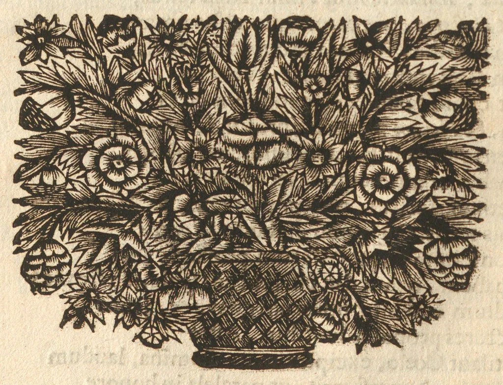 An illustration from Citricultura, oft, Regeringhe der uythemsche boomen te weten oranien, citroenen, limoenen, granaten, laurieren en andere : waer in beschreven is de gedaente ende kennisse der boomen, met hunne bloemen, bladeren en vruchten : van ieder geslacht in het besonder : als oock van den ranck-appel, oprechten laurier van America, den caneel-boom : ende besonderlijck van den verboden Adams oft paradys-appel : daer beneffens de natuere, kracht, en ghebruyck, haer deught en ondeught van ieder vrucht en plant : waer by oock grondigh gheleert wordt het zaeyen, mesten, planten, oculeren, inten, afsuyghen, inlegghen, besnoeyen, en begieten : oock de kennisse van het treuren ofte sieckten der boome, ende haere behulp-middelen : met alle het ghene dese boomen (soo wel in den winter, als in den somer) tot welstandt zijn versoeckende : ende dat alles naer den eysch van ons Nederlandts climaet, 1682, leaf 22