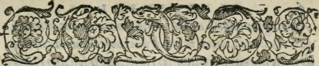An illustration from Cavalerie della citta di Ferrara : che contengono Il castello di Gorgofervsa, Il monte di Feronia, et Il tempio d'Amore, 1567, leaf 10