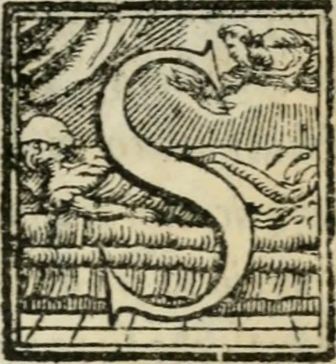 An illustration from Cavalerie della citta di Ferrara : che contengono Il castello di Gorgofervsa, Il monte di Feronia, et Il tempio d'Amore, 1567, leaf 108
