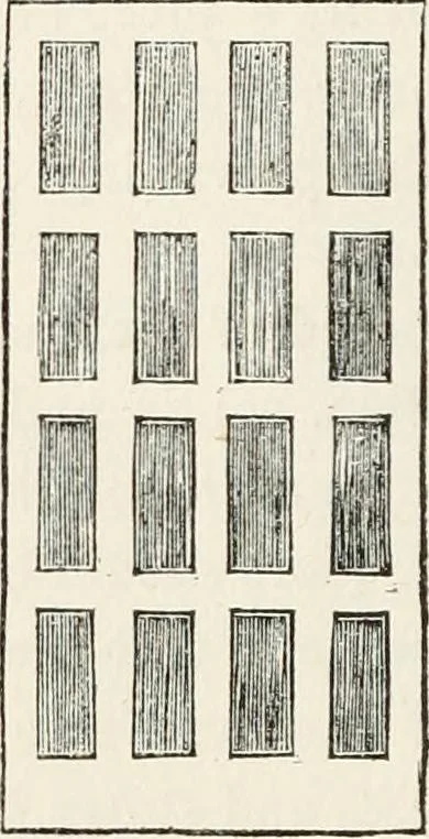 An illustration from City architecture; or, Designs for dwelling houses, stores, hotels, etc. In 20 plates. With descriptions and an essay on the principles of design, 1854, leaf 23