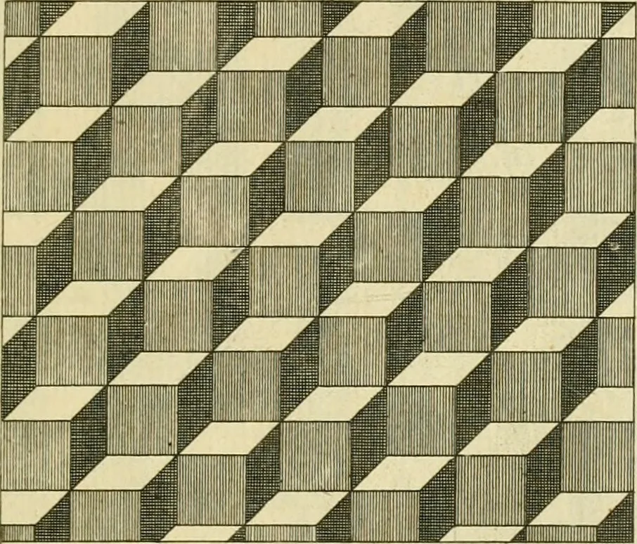 An illustration from The city and country builder's and workman's treasury of designs : or, The art of drawing and working the ornamental parts of architecture. Illustrated by upwards of four hundred grand designs, neatly engraved one hundred and eighty-fix Copper plates, for piers, gates, doors, windowns, niches, buffets, cisterns, chimney pieces, tabernacle frames, pavements, frets, gulochi's, pulpits, types, altar pieces, monuments, fonts, obelisques, pedestals, for sun-dials, busto's and stone tables, book-cafes, cielings and iron works ; proprortioned by Aliquot Pars ; with an appendix of fourteen plates of strusses for girders and beams, different sorts of rafters, and a variety of roofs, &c ; to which are prefix'd the five orders of columns, according to Andrea Palladio ; whose members are apportioned by Aliquot Pars, in a more easy manner, than has yet been done ; the whole interspersed with sure rules for working all the varieties of raking members in pediments, modilions, &c. the like, for the immediate use of workmen, never published before in any language, 1741, leaf 216