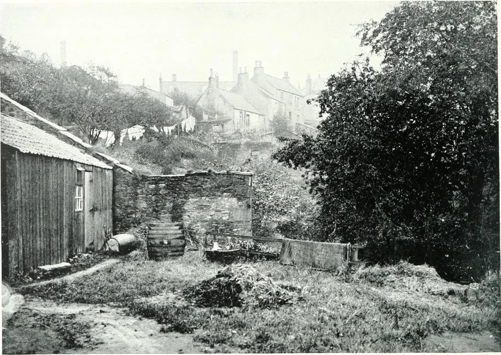 An illustration from City development, a study of parks, gardens, and culture-institutes; a report to the Carnegie Dunfermline trust, 1904, leaf 101