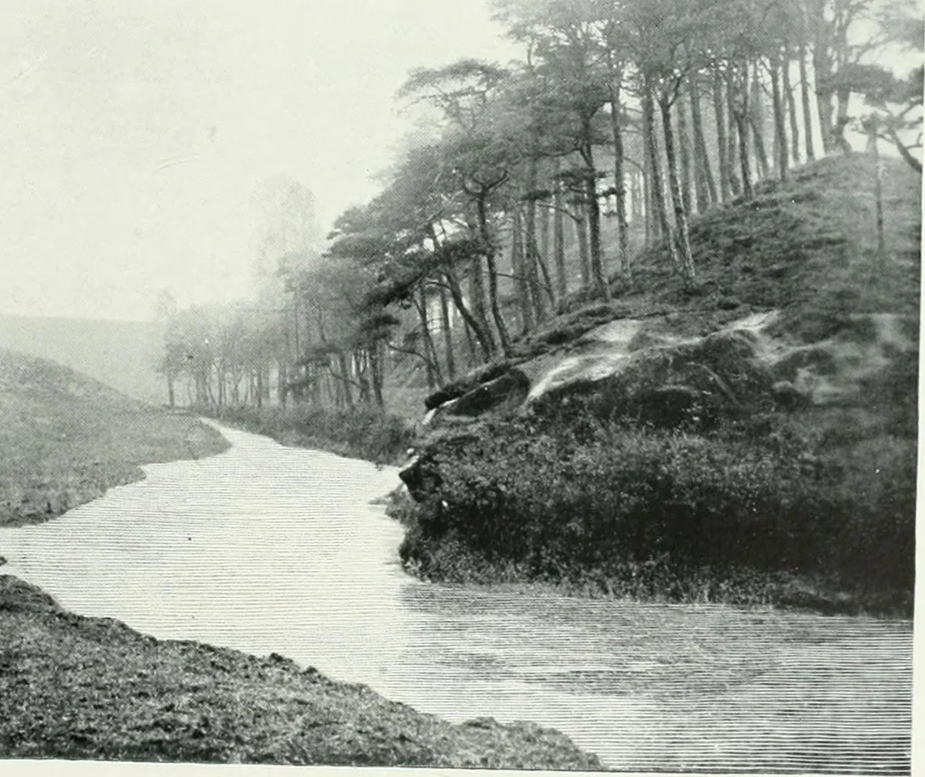 An illustration from City development, a study of parks, gardens, and culture-institutes; a report to the Carnegie Dunfermline trust, 1904, leaf 102