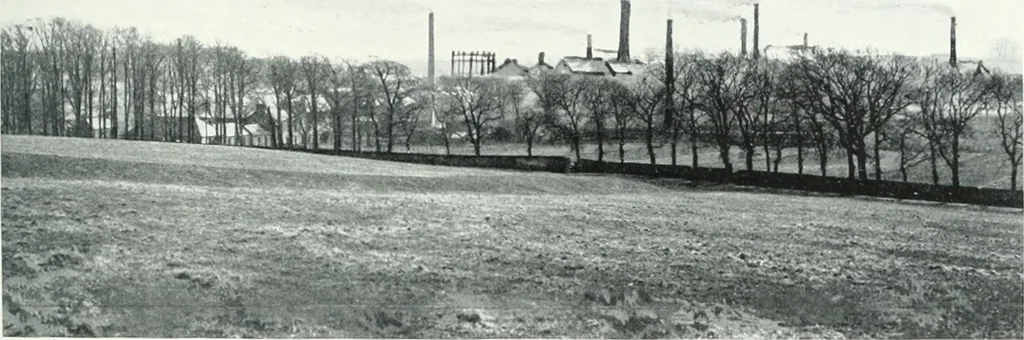 An illustration from City development, a study of parks, gardens, and culture-institutes; a report to the Carnegie Dunfermline trust, 1904, leaf 104