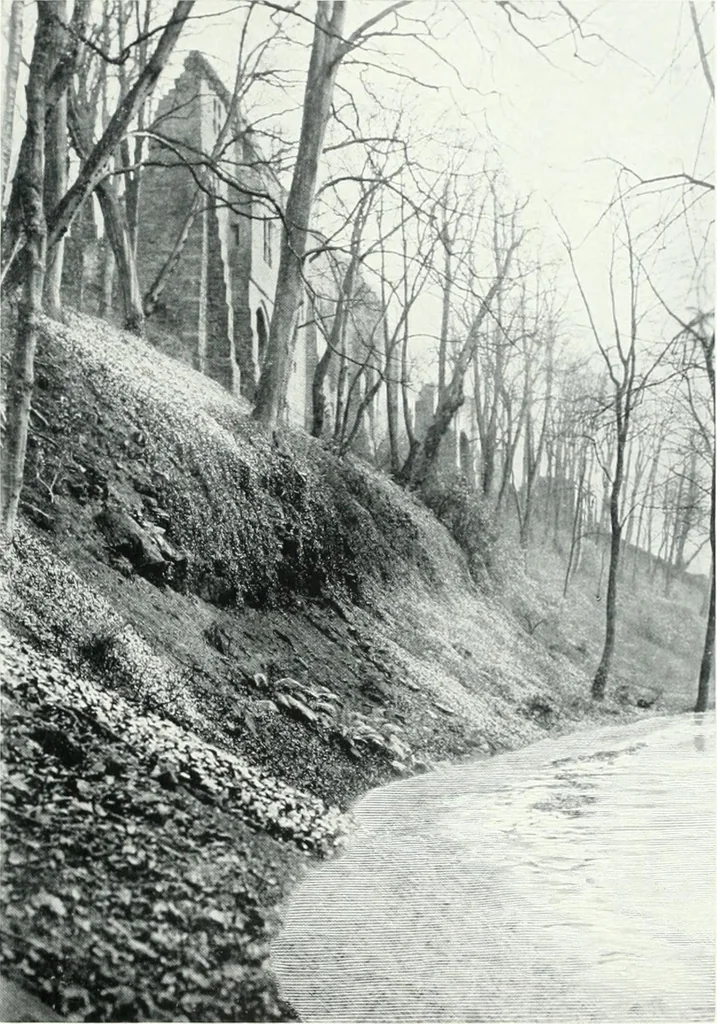 An illustration from City development, a study of parks, gardens, and culture-institutes; a report to the Carnegie Dunfermline trust, 1904, leaf 114