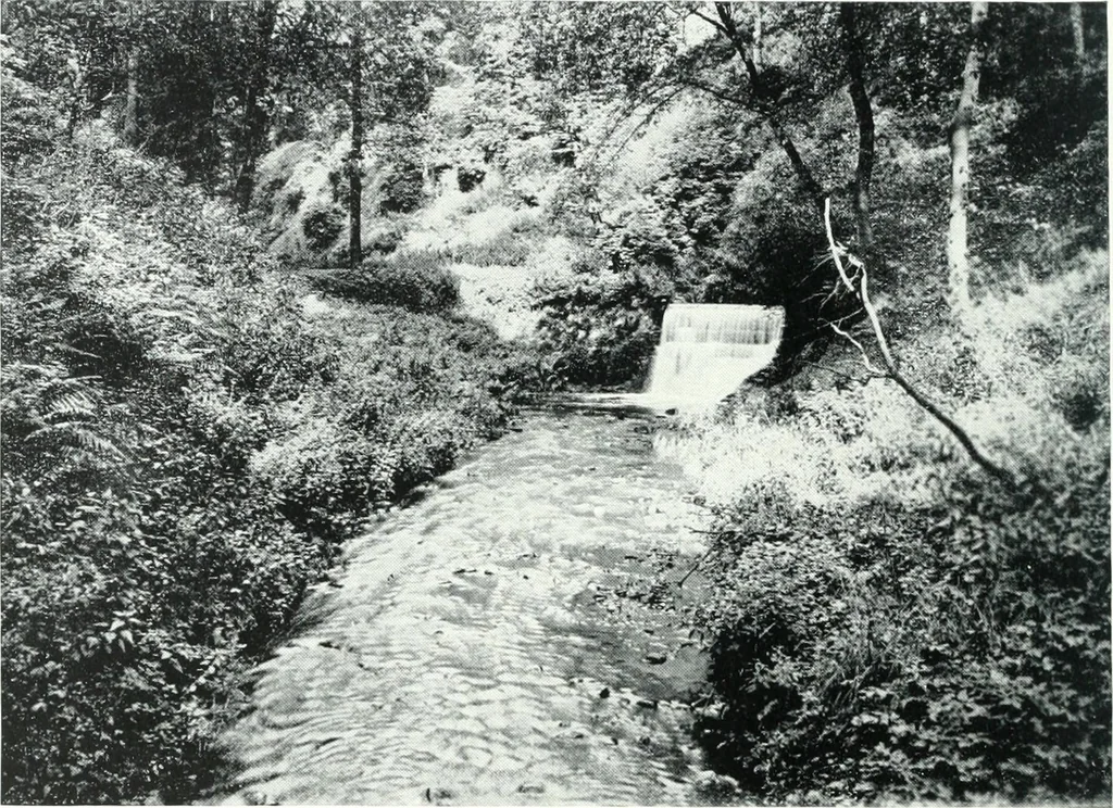 An illustration from City development, a study of parks, gardens, and culture-institutes; a report to the Carnegie Dunfermline trust, 1904, leaf 115