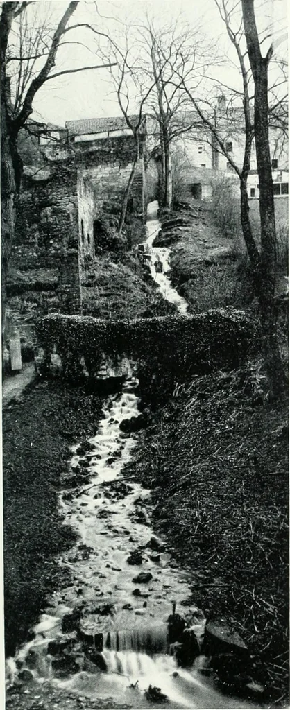 An illustration from City development, a study of parks, gardens, and culture-institutes; a report to the Carnegie Dunfermline trust, 1904, leaf 136