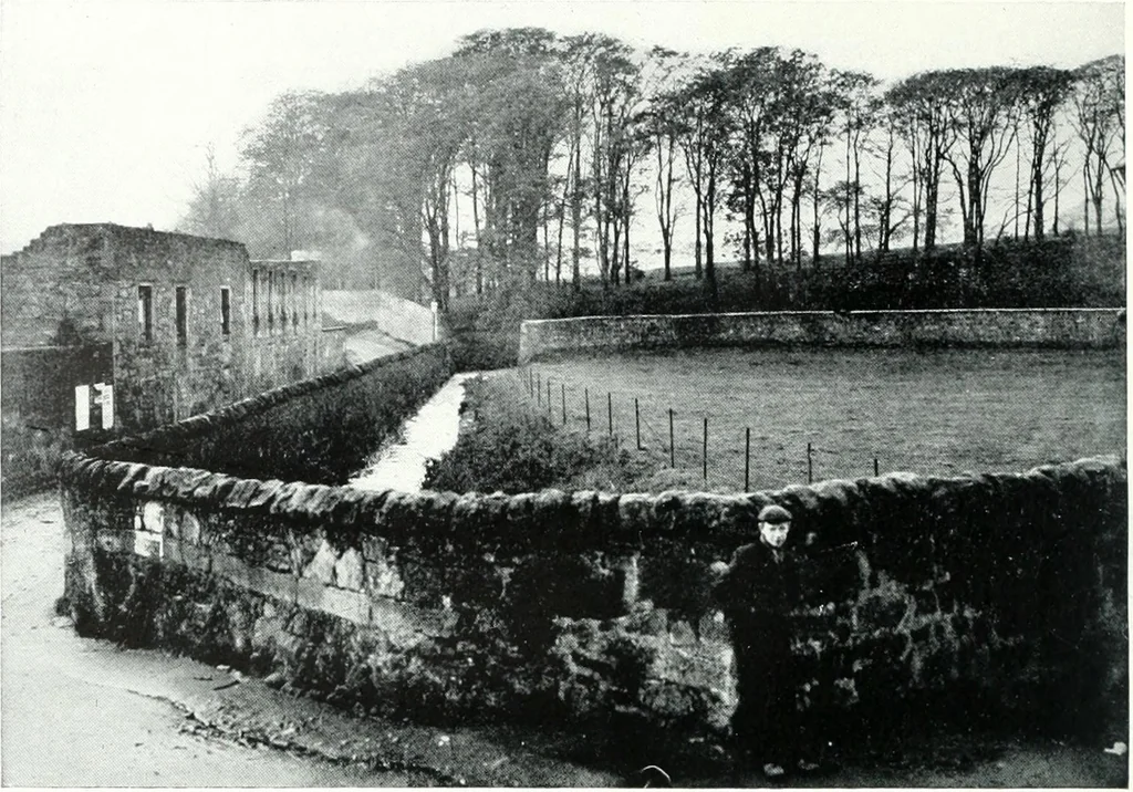 An illustration from City development, a study of parks, gardens, and culture-institutes; a report to the Carnegie Dunfermline trust, 1904, leaf 35