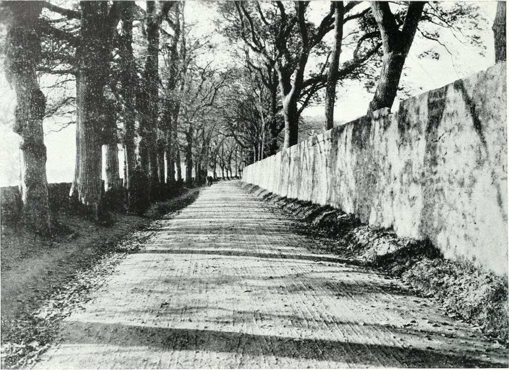 An illustration from City development, a study of parks, gardens, and culture-institutes; a report to the Carnegie Dunfermline trust, 1904, leaf 37