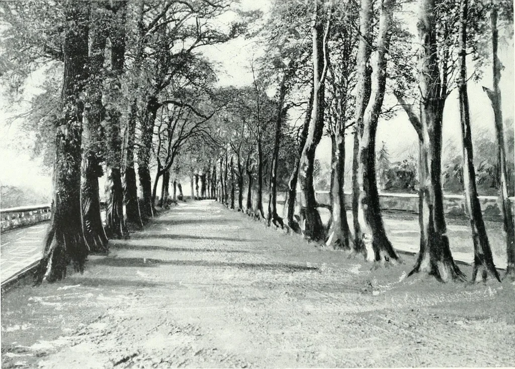An illustration from City development, a study of parks, gardens, and culture-institutes; a report to the Carnegie Dunfermline trust, 1904, leaf 37