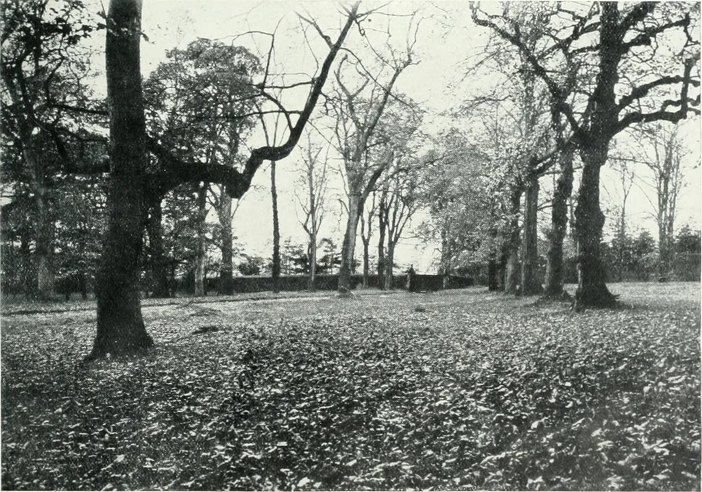 An illustration from City development, a study of parks, gardens, and culture-institutes; a report to the Carnegie Dunfermline trust, 1904, leaf 56