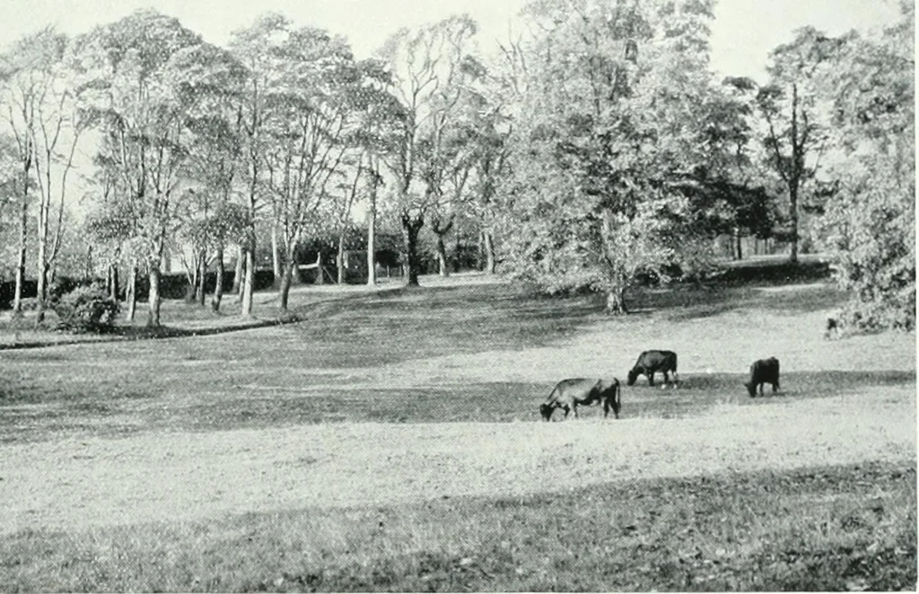 An illustration from City development, a study of parks, gardens, and culture-institutes; a report to the Carnegie Dunfermline trust, 1904, leaf 64