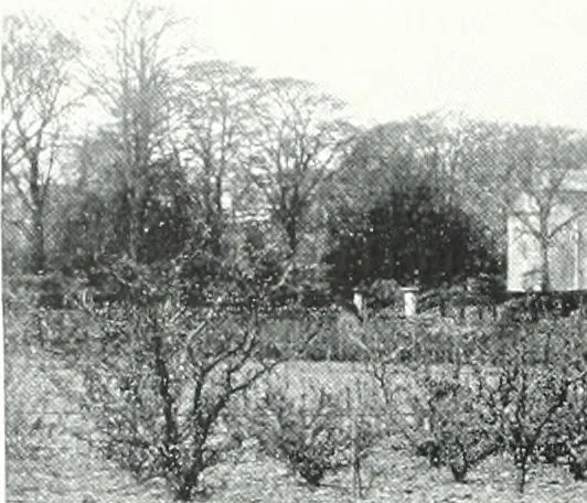 An illustration from City development, a study of parks, gardens, and culture-institutes; a report to the Carnegie Dunfermline trust, 1904, leaf 69