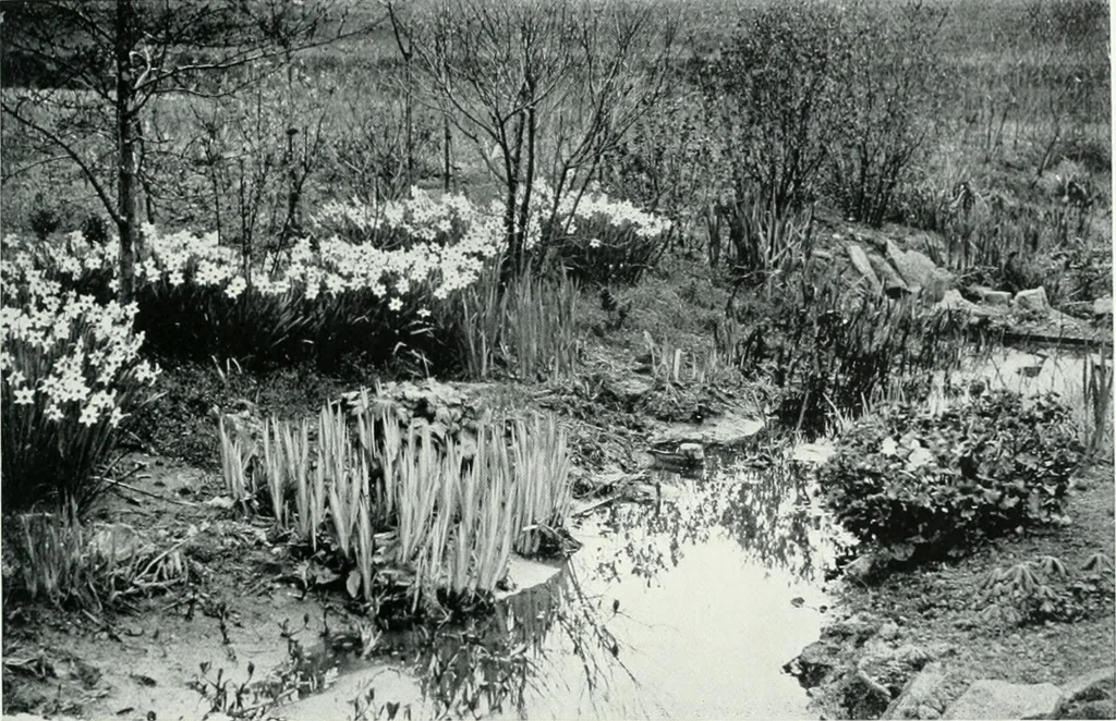 An illustration from City development, a study of parks, gardens, and culture-institutes; a report to the Carnegie Dunfermline trust, 1904, leaf 84