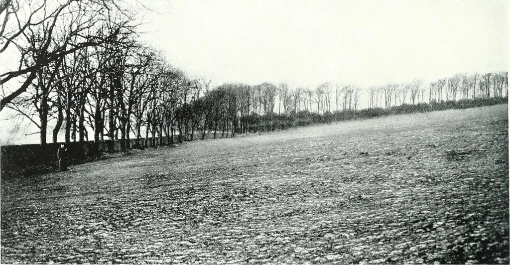 An illustration from City development, a study of parks, gardens, and culture-institutes; a report to the Carnegie Dunfermline trust, 1904, leaf 87
