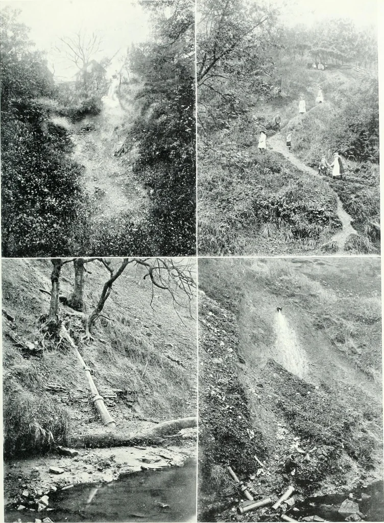 An illustration from City development, a study of parks, gardens, and culture-institutes; a report to the Carnegie Dunfermline trust, 1904, leaf 96