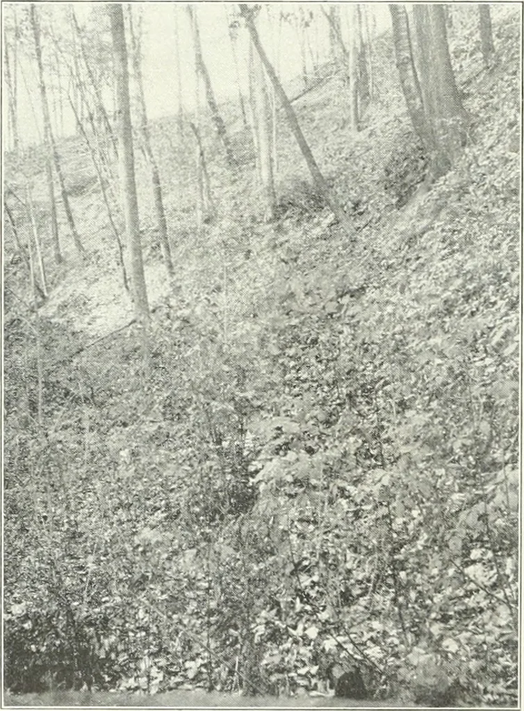 An illustration from City plan for Akron, prepared for Chamber of commerce, 1919, leaf 57