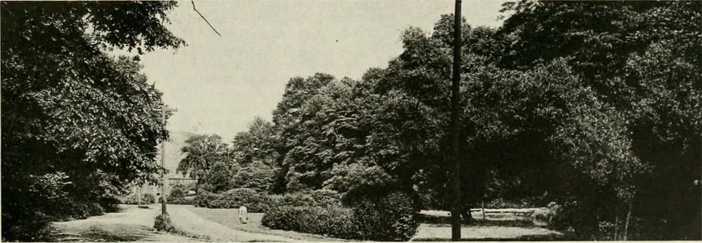 An illustration from City planning progress in the United States, 1917, 1917, leaf 16