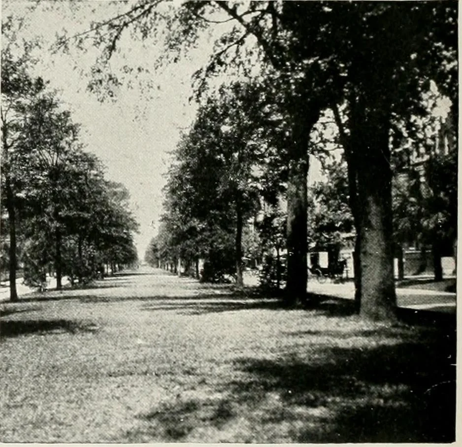 An illustration from City planning progress in the United States, 1917, 1917, leaf 177