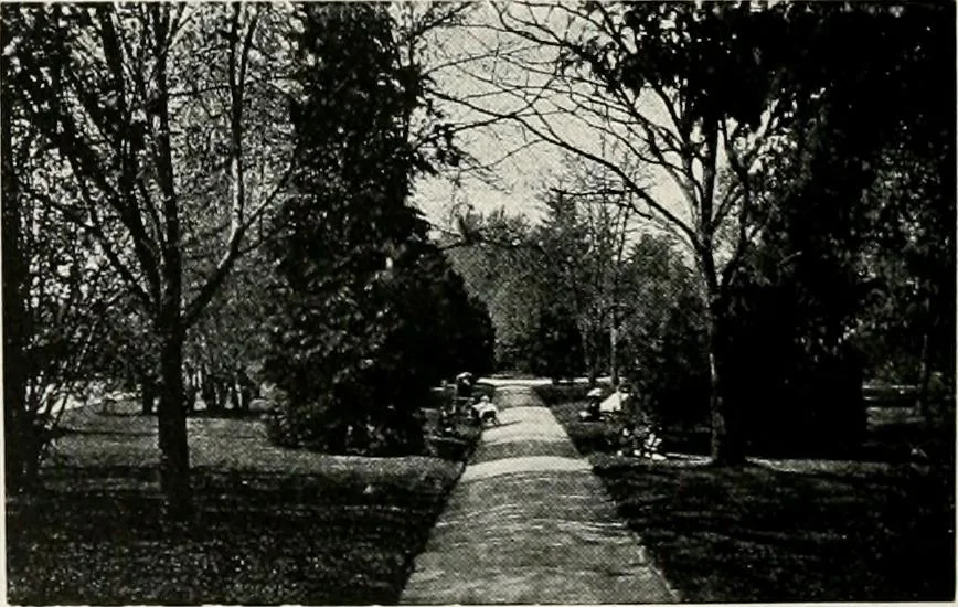 An illustration from City planning progress in the United States, 1917, 1917, leaf 187