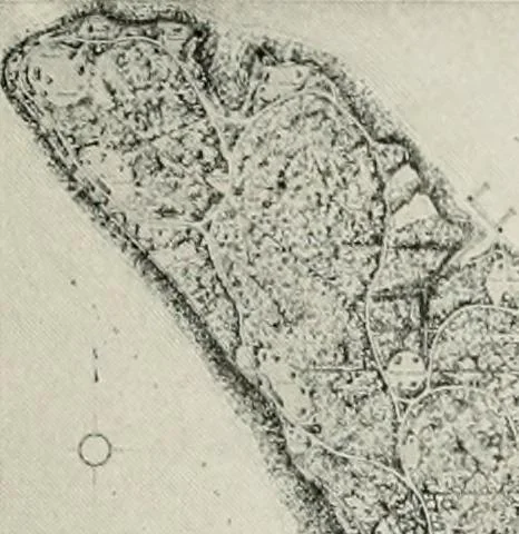 An illustration from City planning progress in the United States, 1917, 1917, leaf 188