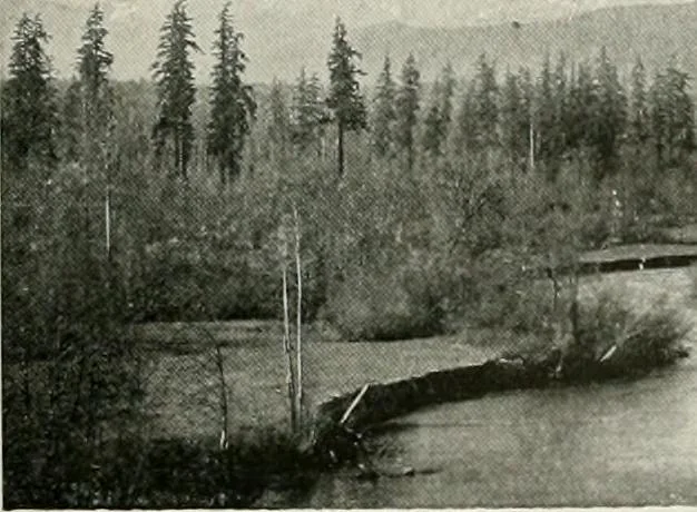 An illustration from City planning progress in the United States, 1917, 1917, leaf 188