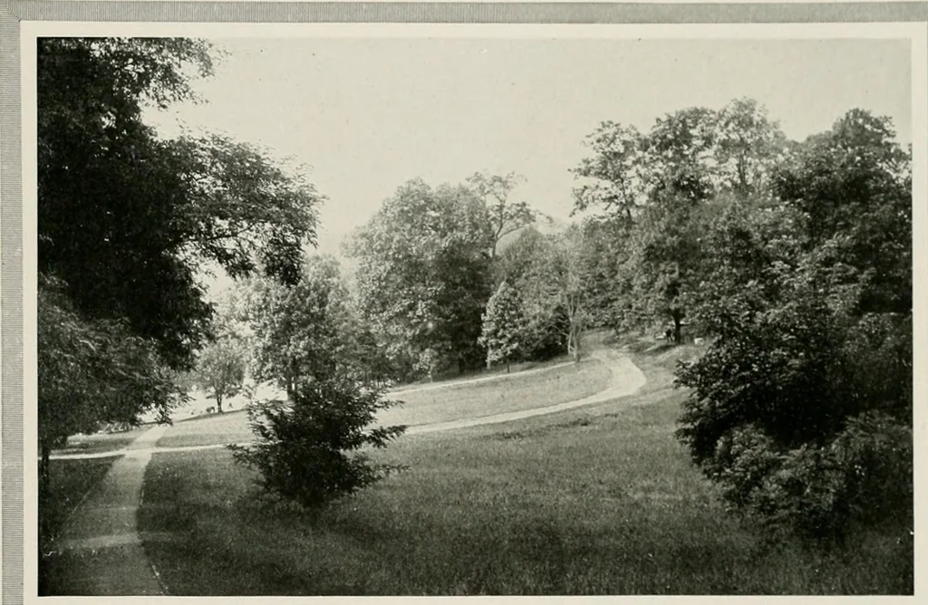 An illustration from City planning progress in the United States, 1917, 1917, leaf 200