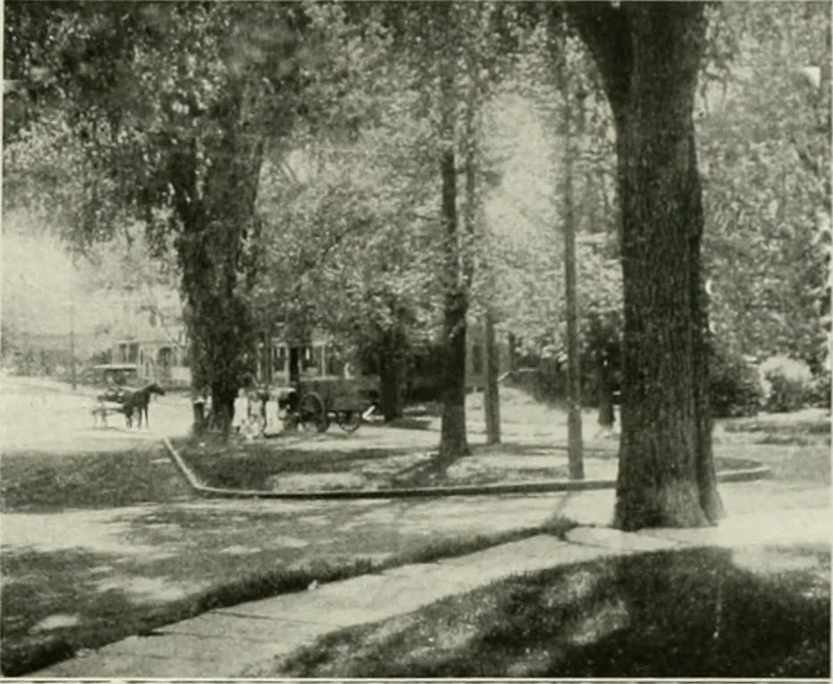 An illustration from City planning progress in the United States, 1917, 1917, leaf 36