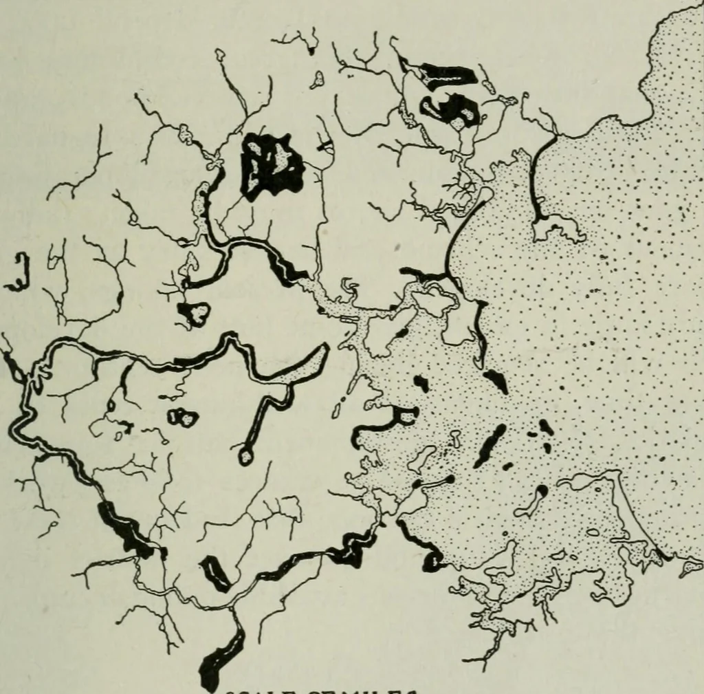 An illustration from City planning; a series of papers presenting the essential elements of a city plan, 1916, leaf 268