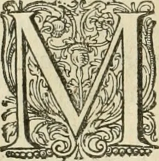 An illustration from Ciuitas veri, siue, Morum, 1609, leaf 159