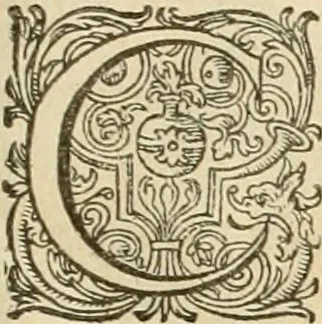 An illustration from Ciuitas veri, siue, Morum, 1609, leaf 168