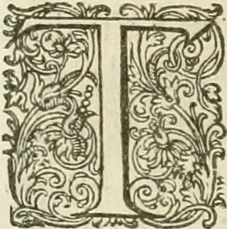 An illustration from Ciuitas veri, siue, Morum, 1609, leaf 211