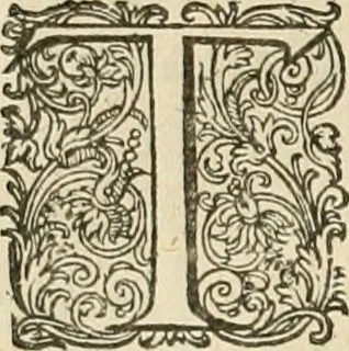 An illustration from Ciuitas veri, siue, Morum, 1609, leaf 221