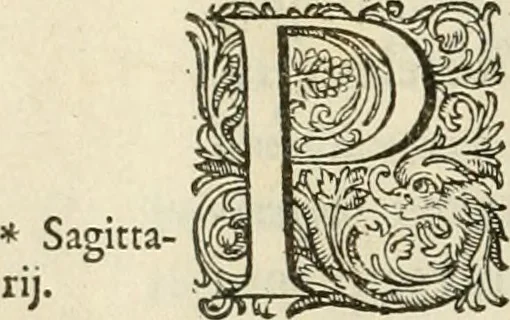 An illustration from Ciuitas veri, siue, Morum, 1609, leaf 235