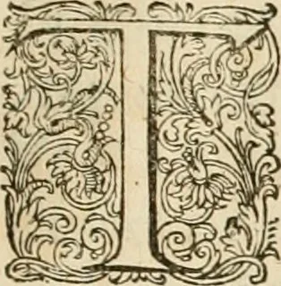 An illustration from Ciuitas veri, siue, Morum, 1609, leaf 248