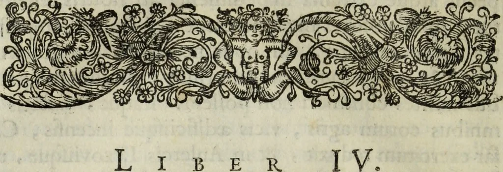 An illustration from C. Iulii Caesaris quae extant, cum selectis variorum commentariis, quorum plerique novi, 1661, leaf 141