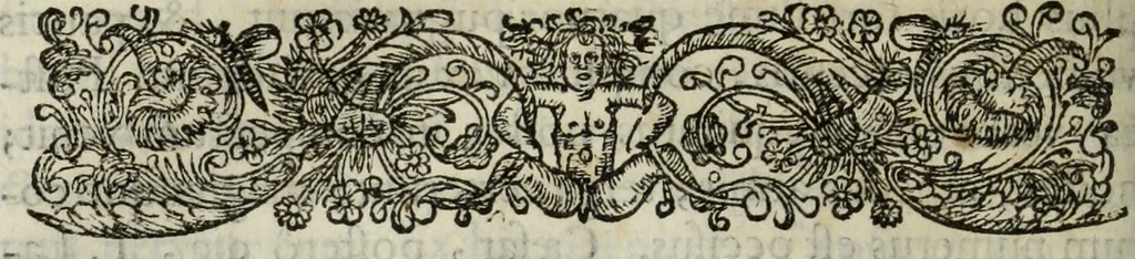 An illustration from C. Iulii Caesaris quae extant, cum selectis variorum commentariis, quorum plerique novi, 1661, leaf 177