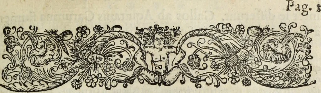 An illustration from C. Iulii Caesaris quae extant, cum selectis variorum commentariis, quorum plerique novi, 1661, leaf 22