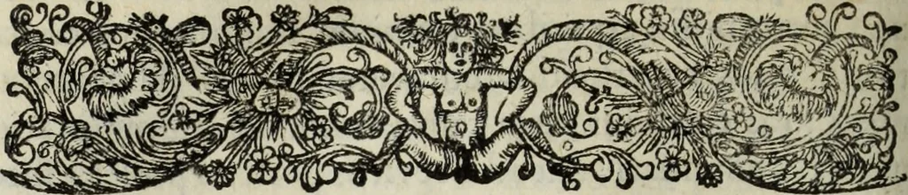 An illustration from C. Iulii Caesaris quae extant, cum selectis variorum commentariis, quorum plerique novi, 1661, leaf 231