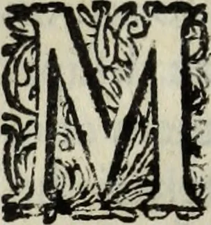 An illustration from C. Iulii Caesaris quae extant, cum selectis variorum commentariis, quorum plerique novi, 1661, leaf 231