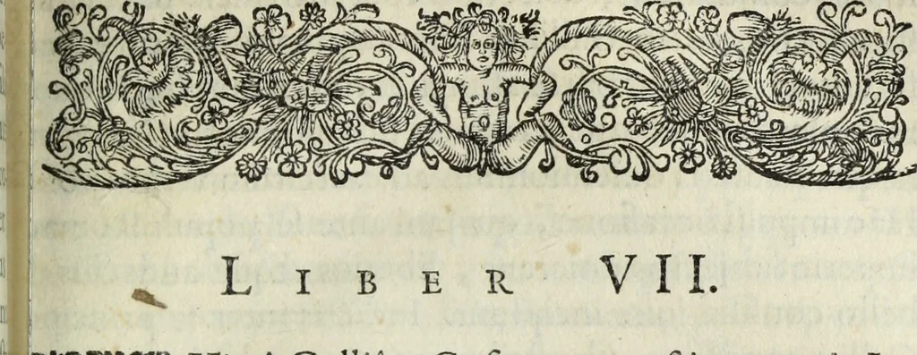 An illustration from C. Iulii Caesaris quae extant, cum selectis variorum commentariis, quorum plerique novi, 1661, leaf 286