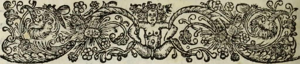 An illustration from C. Iulii Caesaris quae extant, cum selectis variorum commentariis, quorum plerique novi, 1661, leaf 389