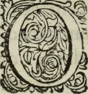 An illustration from C. Iulii Caesaris quae extant, cum selectis variorum commentariis, quorum plerique novi, 1661, leaf 391