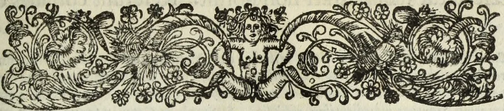 An illustration from C. Iulii Caesaris quae extant, cum selectis variorum commentariis, quorum plerique novi, 1661, leaf 444