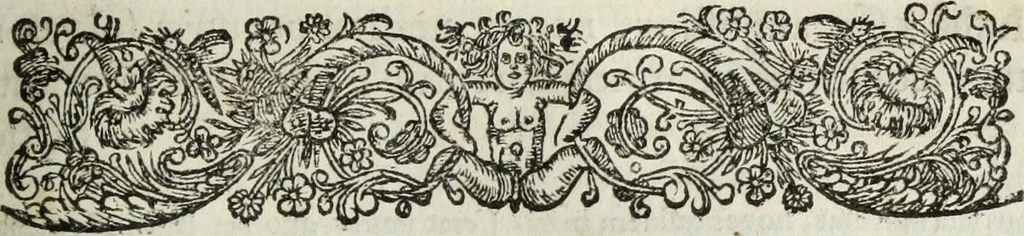 An illustration from C. Iulii Caesaris quae extant, cum selectis variorum commentariis, quorum plerique novi, 1661, leaf 592