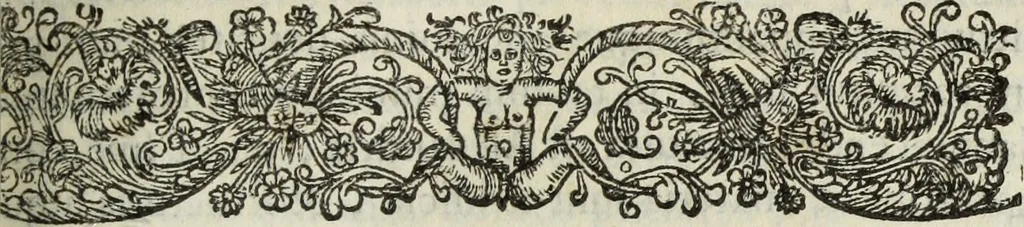An illustration from C. Iulii Caesaris quae extant, cum selectis variorum commentariis, quorum plerique novi, 1661, leaf 708