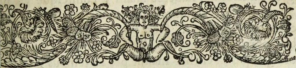 An illustration from C. Iulii Caesaris quae extant, cum selectis variorum commentariis, quorum plerique novi, 1661, leaf 772