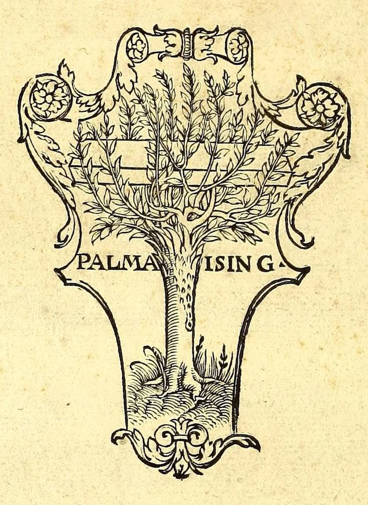 An illustration from C. Iulii Solini Polyhistor, rerum toto orbe memorabilium thesaurus locupletissimus. : Huic ob argumenti similitudinem Pomponii Melæ De situ orbis libros tres, fide diligentiaque summa denuò iam recognitos, adiunximus. His accesserunt præter priora scholia & tabulas geographicas permultas, Petri quoq[ue] Olivarii Valentini, uiri in geographia excellenter docti, annotationes, quibus & loci non pauci, à plerisq[ue] parum hactenus intellecti, dilucidè illustrantur, & uetustis locorum appellationibus recentiora sigillatim nomina subijciuntur. Cum gemino indice, quorum alter supra res alias memorabiles, locorum ac regionum omnium, marium ac sinuum nomina, alter uerò recentiores eorundem appellationes complectitur, 1543, leaf 262
